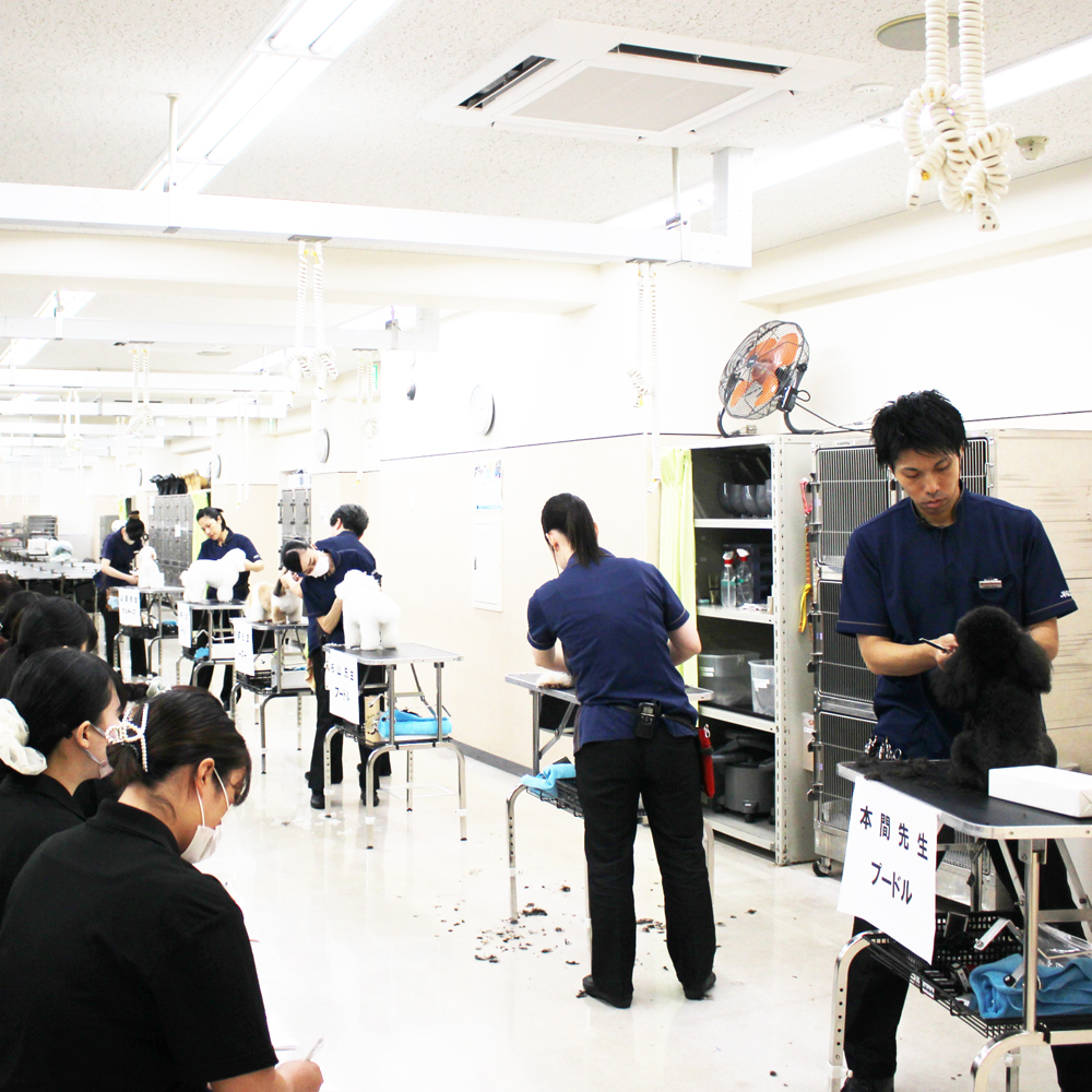２年生へ向けて先生の試技会～午後の部～